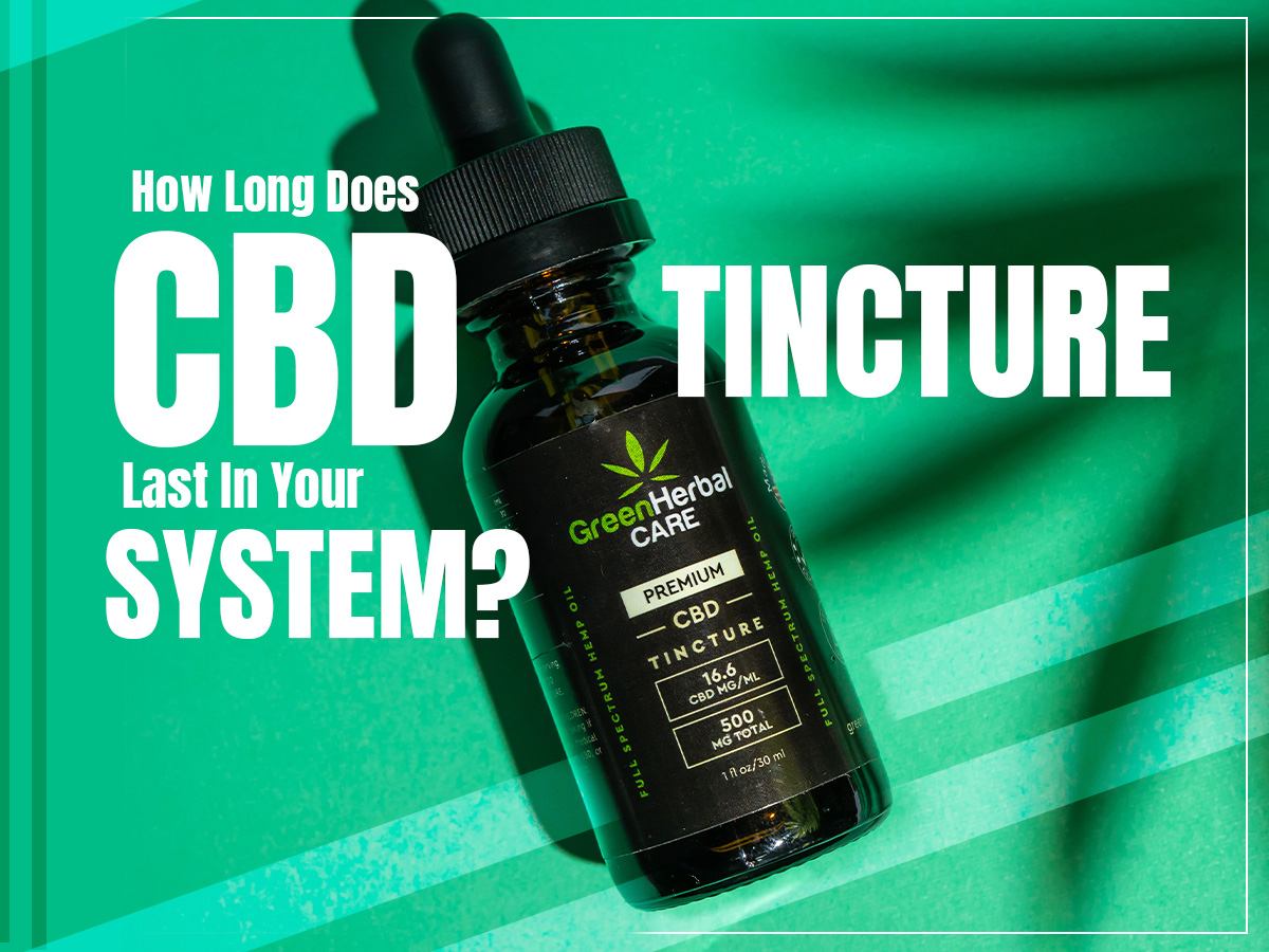 Duration of CBD Tincture in Your System