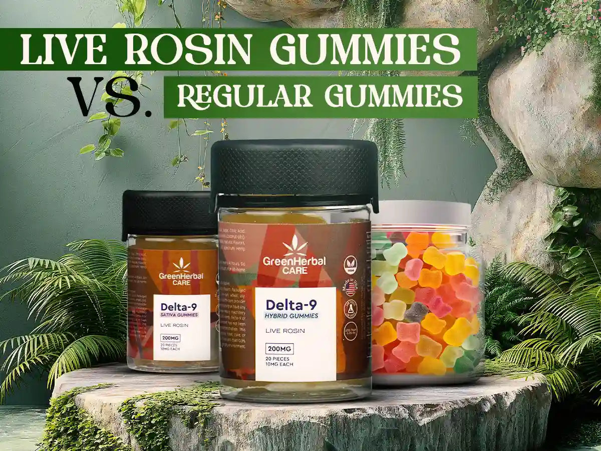 live rosin gummies vs regular gummies