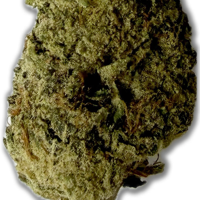 THCA Exotic Flower - Berry Gelato - Indica