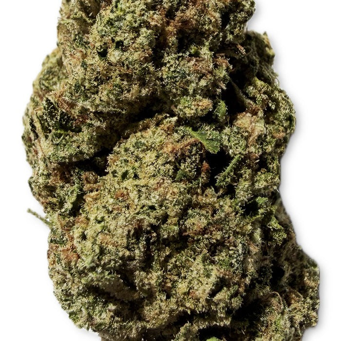 THCA Exotic Flower - Blue Dream - Sativa