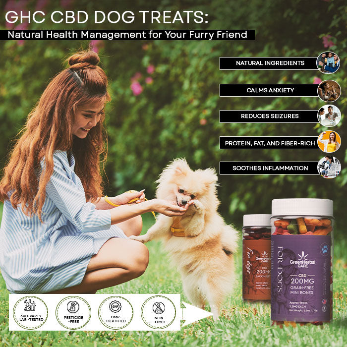 Buy GHC CBD Dog Treats Online