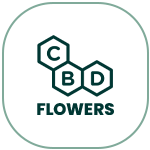 CBD Flowers
