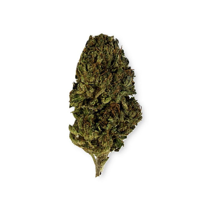 CBD - Pink Panther Flower