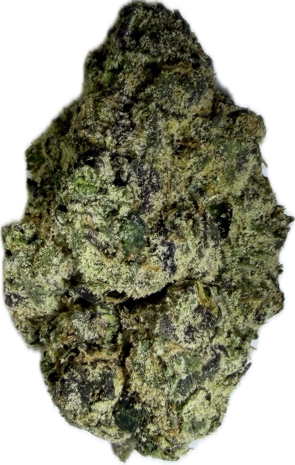 THCA Exotic Flower - Candy Man - Hybrid