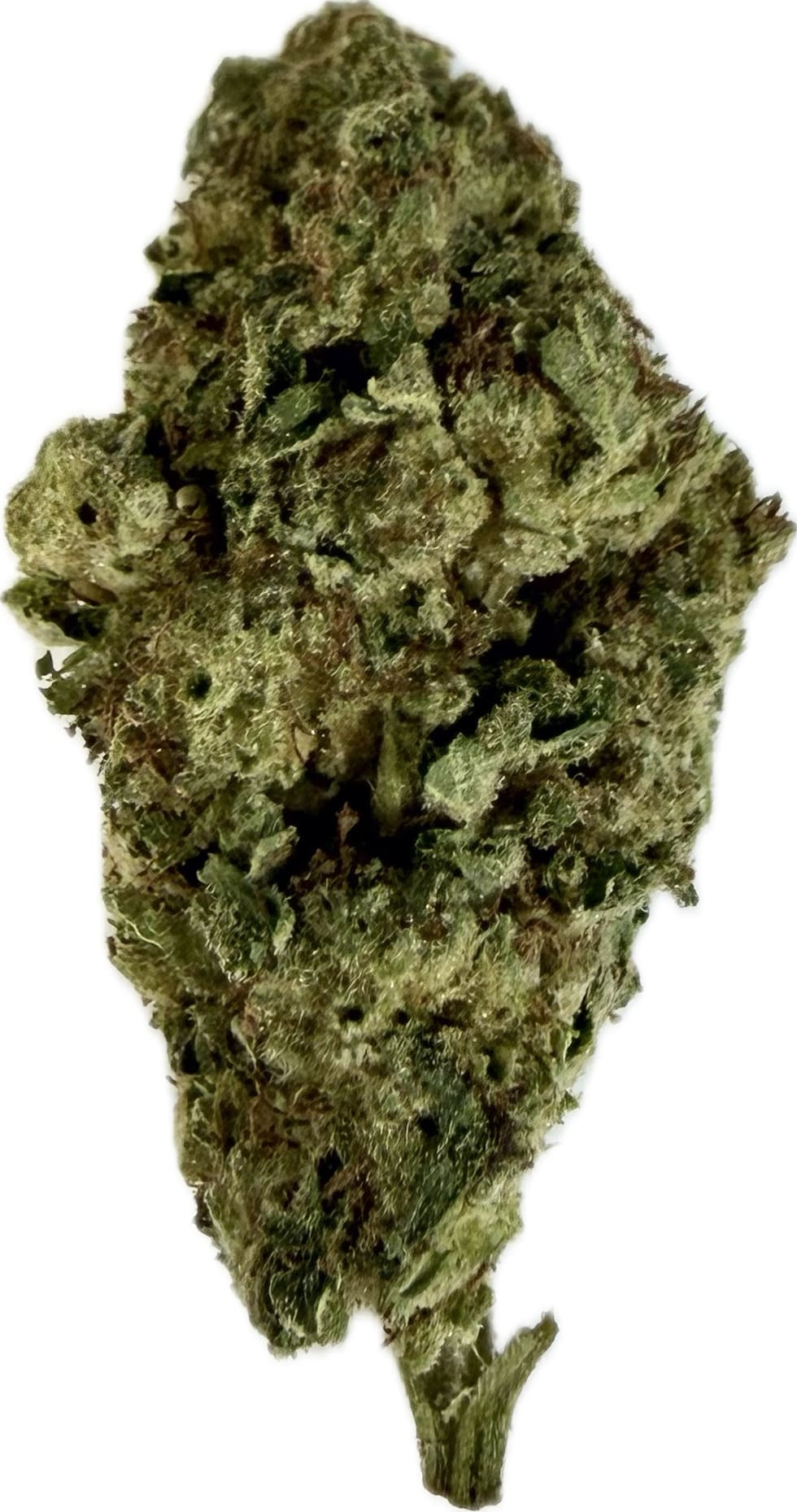 THCA Outdoor Flower - Chem Cookies - Indica
