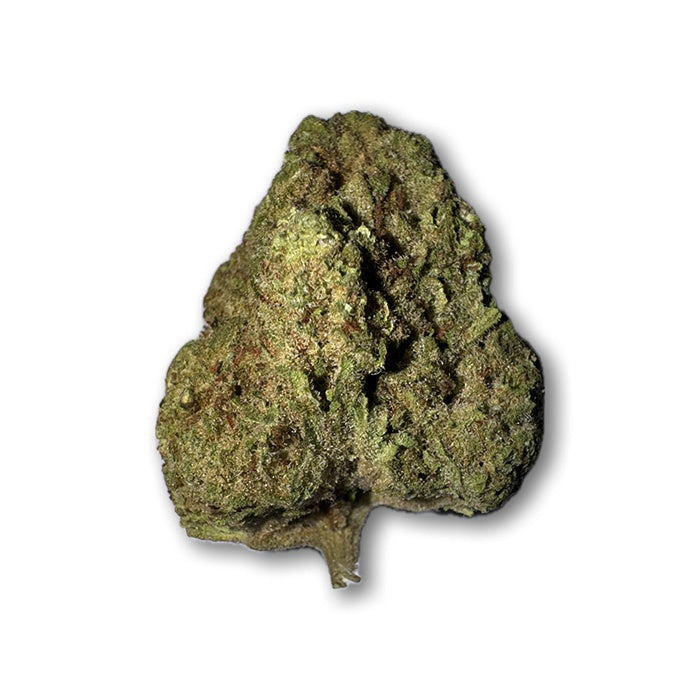 Hawaiian Haze - Sativa