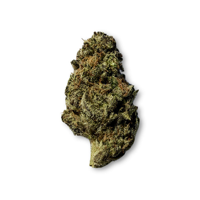 THCA Exotic Flower - Zelato - Hybrid