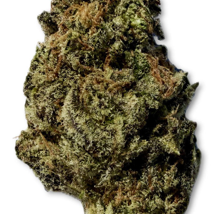 THCA Exotic Flower - Zelato - Hybrid