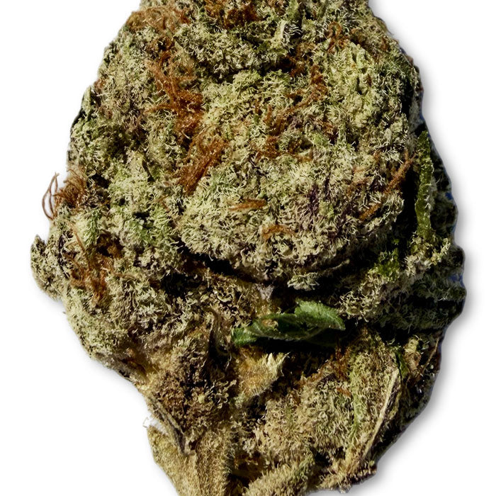 THCA Exotic Flower - Lava Cake - Indica