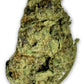 THCA Premium Flower - G Force - Indica