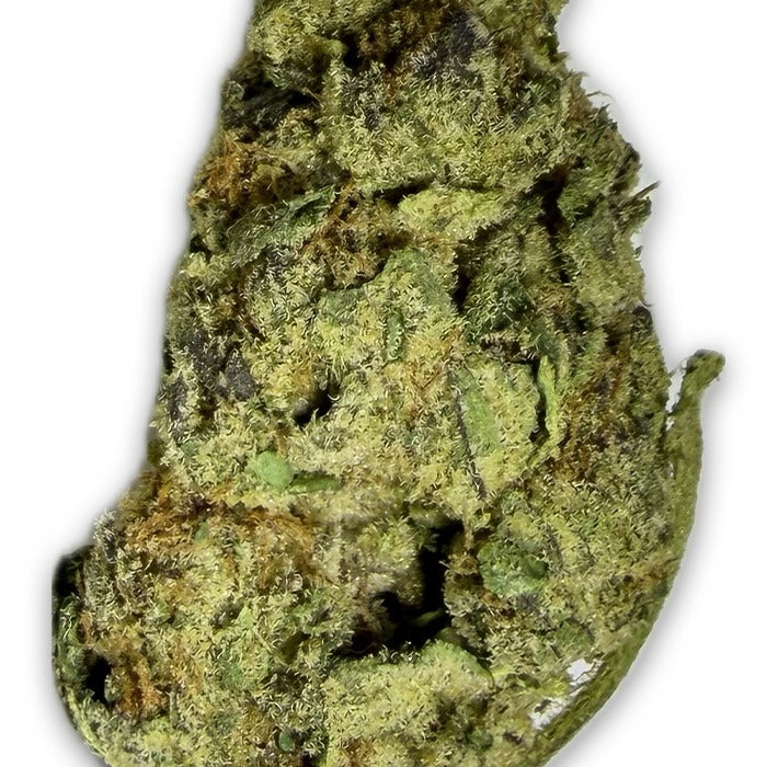 THCA Premium Flower - G Force - Indica