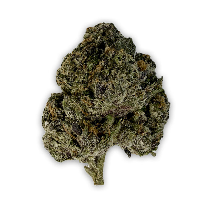 THCA Exotic Flower - Gass Shack - Sativa