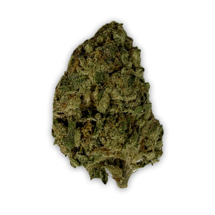 THCA Premium Flower - Gaszilla - Hybrid