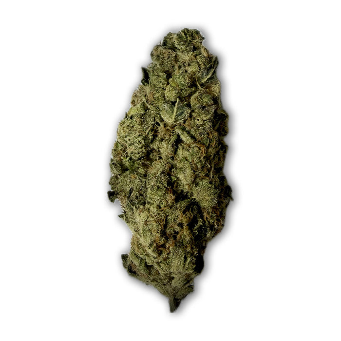 THCA Exotic Flower - Governmint Oasis - Hybrid