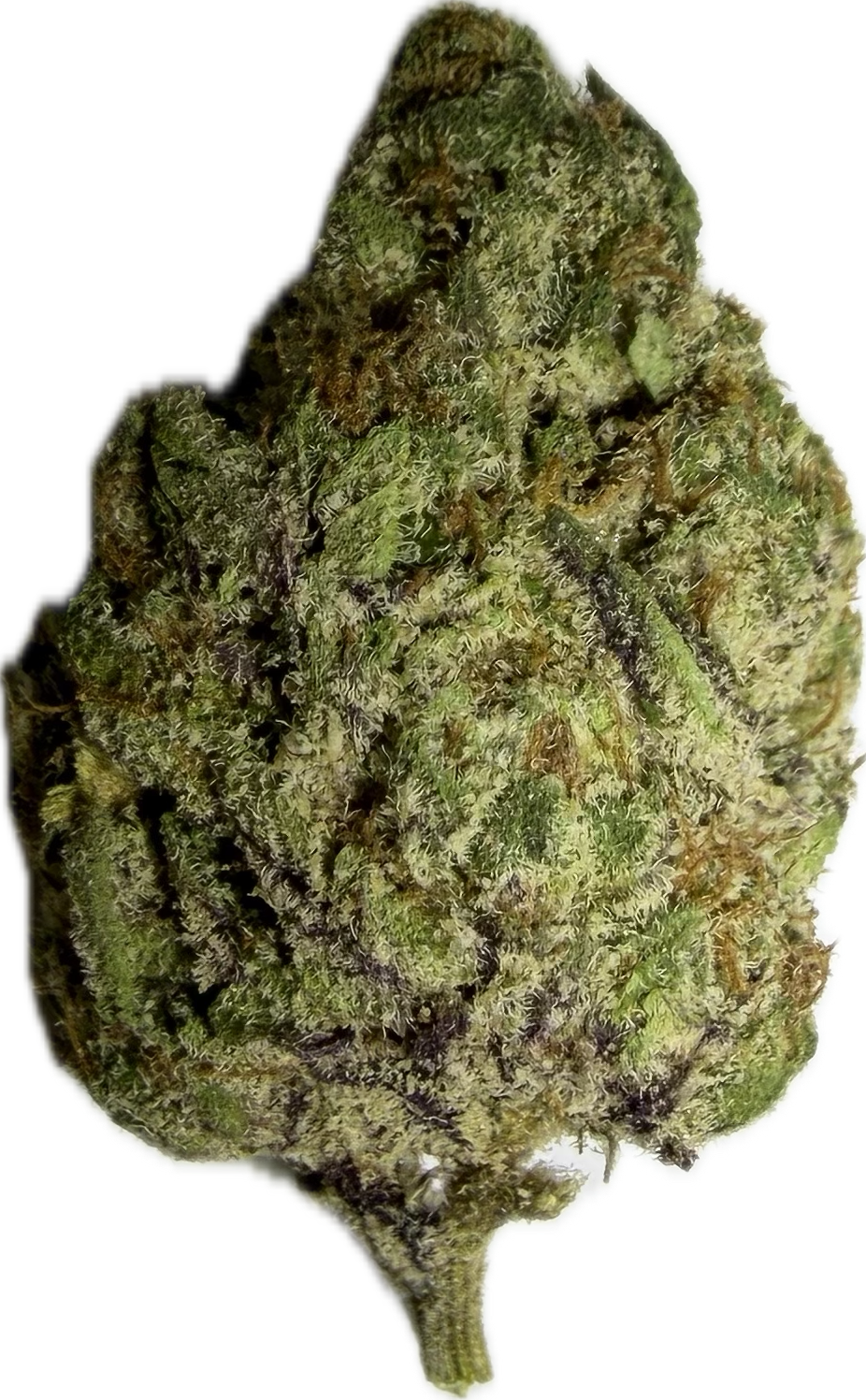 THCA Premium Flower - Hash Burger - Indica