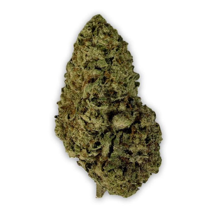 Hippie Crasher - Indica