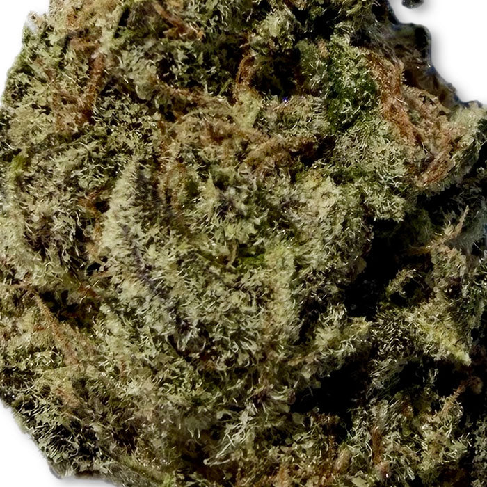 THCA Premium Flower - Zelato - Hybrid