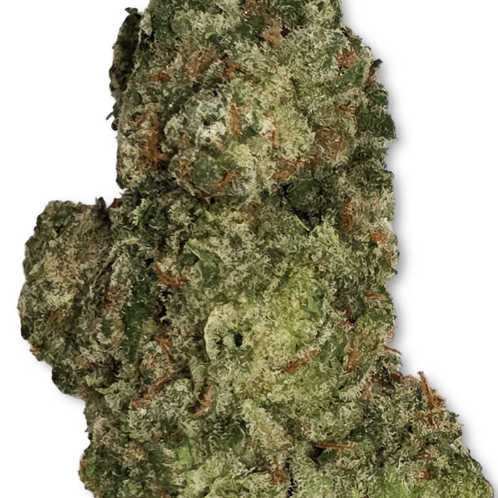 THCA Premium Flower - Juicy J - Hybrid