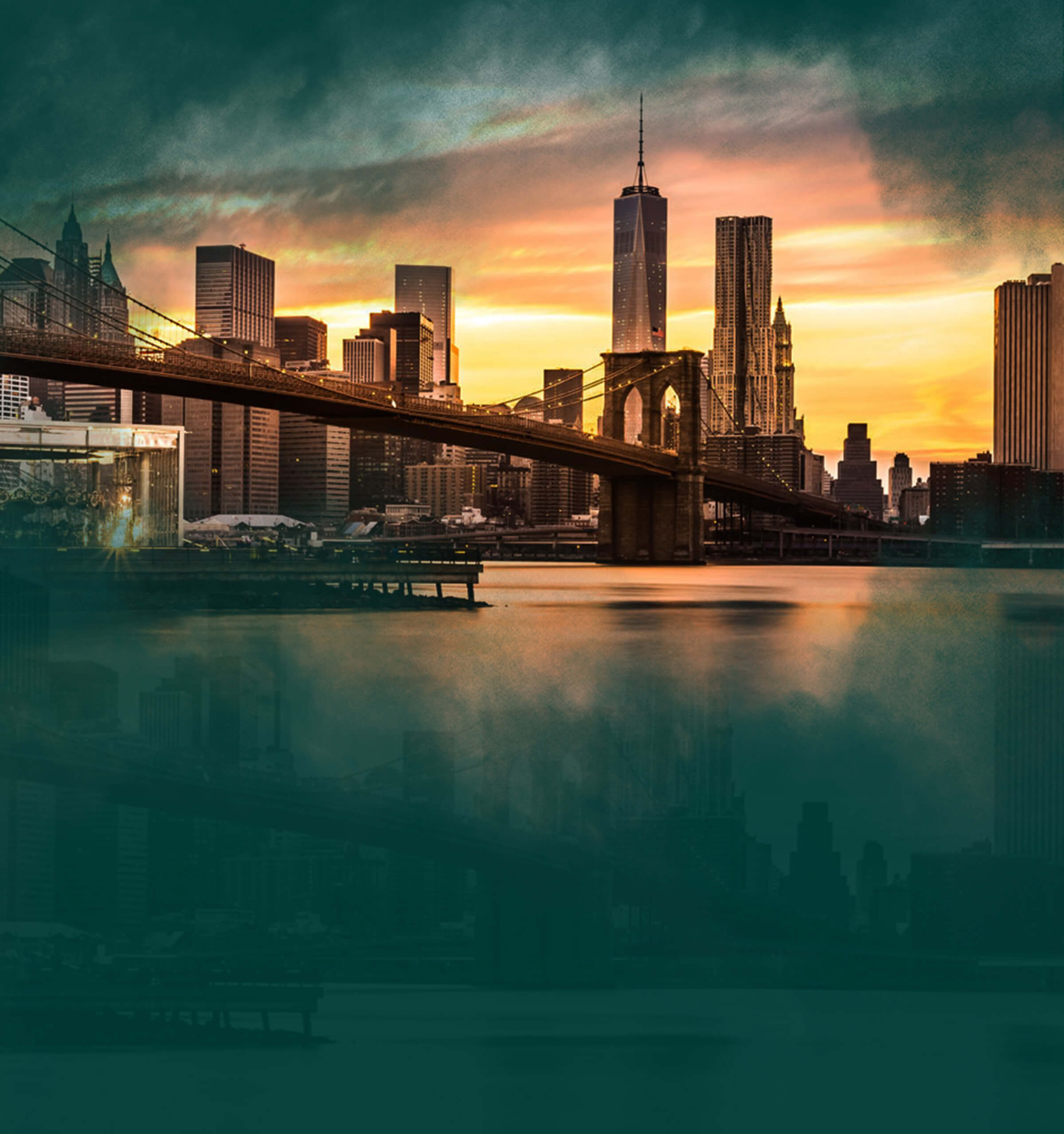 cbd dispensary in new york