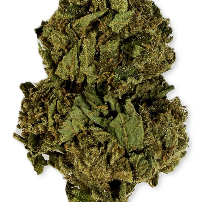 THCA Outdoor Flower - Candy Pop - Hybrid