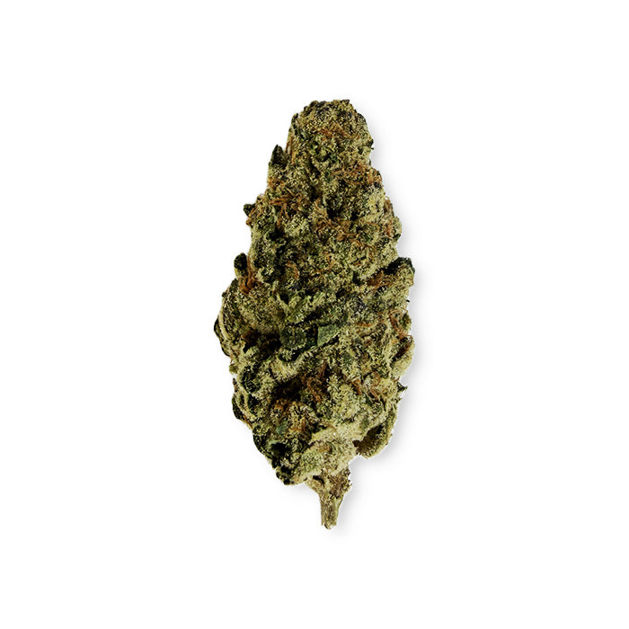 Orange Creamsicle - Sativa