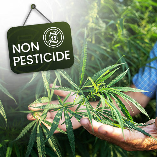 Pesticide Free