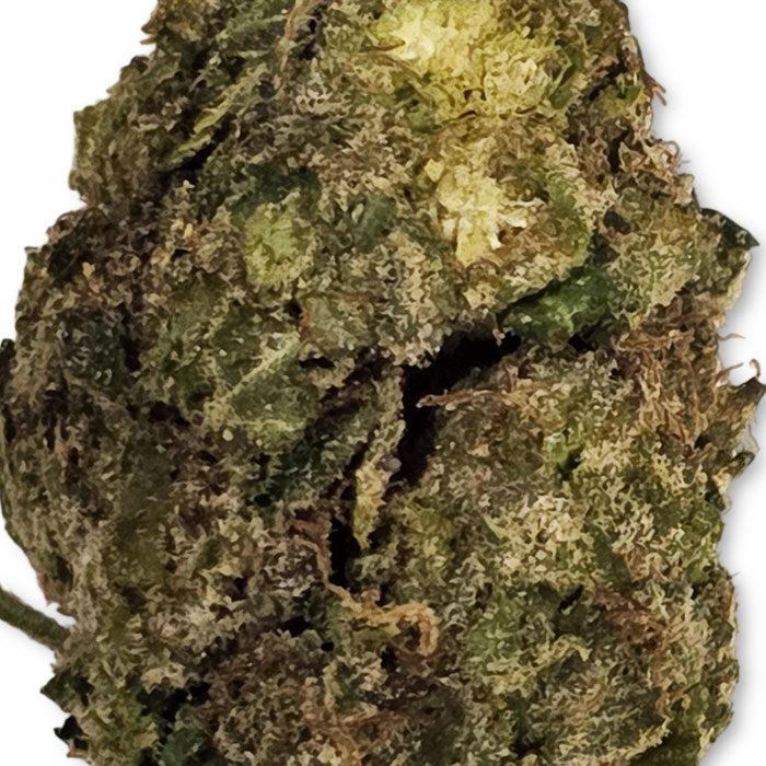 THCA Premium Flower - Durban Poison - Sativa