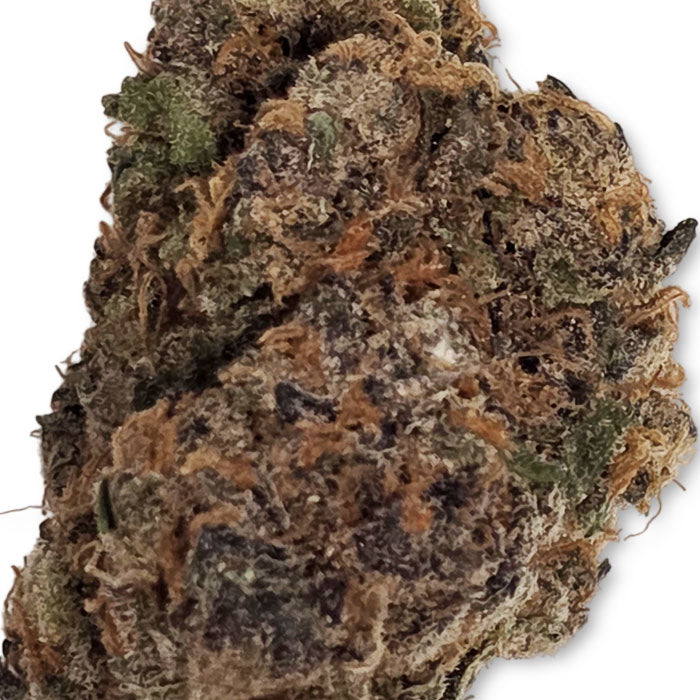 THCA Premium Flower - Grape Gas - Hybrid