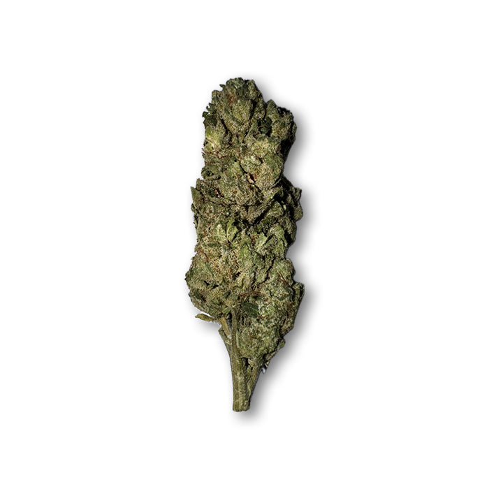 Bomb Pop - Hybrid