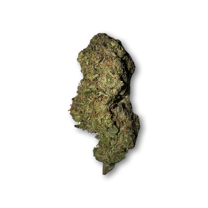 Prohibition Glue - Hybrid