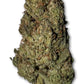 Log Cabin Strain