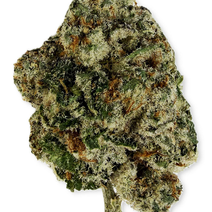 THCA Premium Flower - 8 Ball Kush - Indica