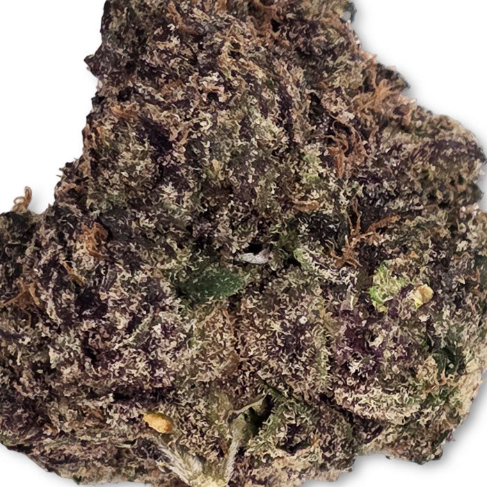 THCA Premium Flower - Blue Lobster - Hybrid