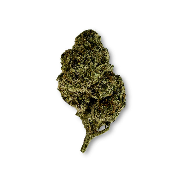 THCA Exotic Flower - Purple Gumbo - Indica
