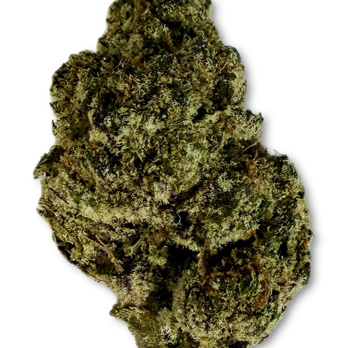 THCA Exotic Flower - Purple Gumbo - Indica