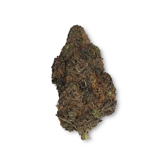 THCA Premium Flower - Purple Panty Dropper - Indica