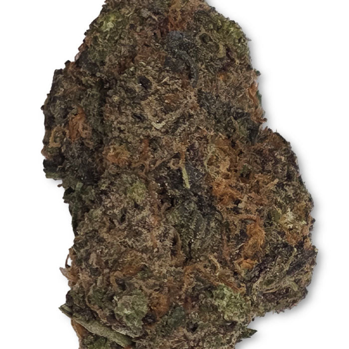 THCA Premium Flower - Purple Panty Dropper - Indica