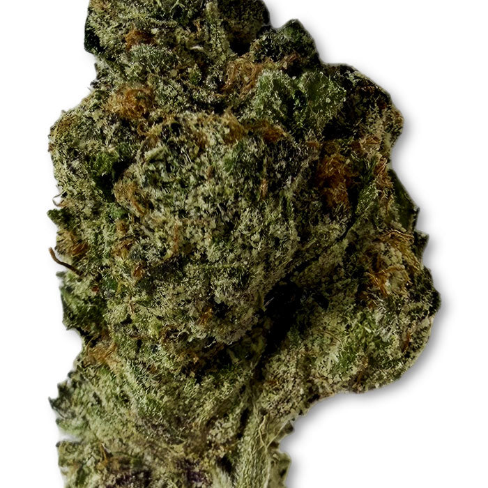 THCA Exotic Flower - Sundae Driver - Exotic