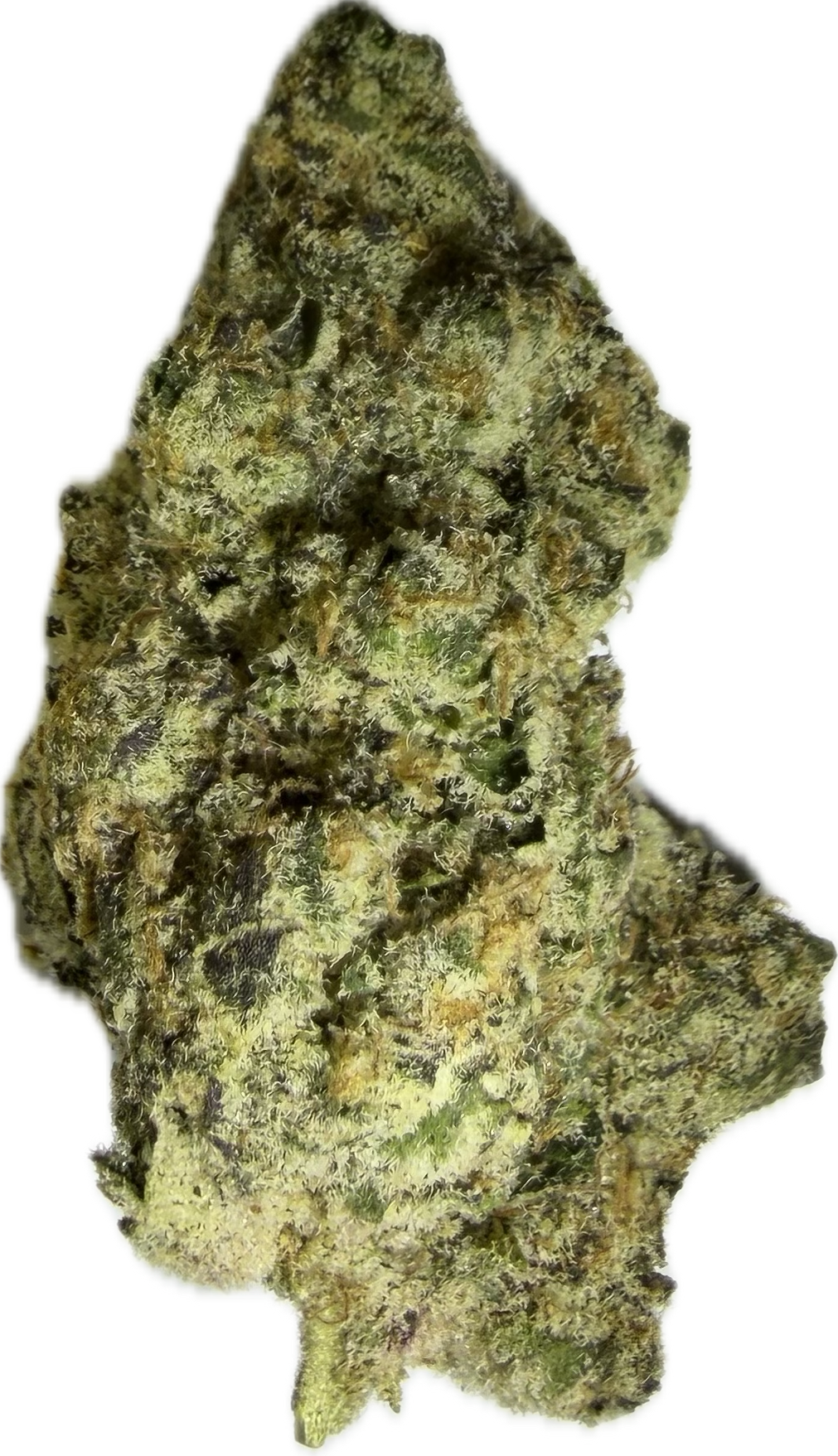 THCA Exotic Flower - Sweet Cookies - Indica