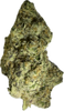 THCA Exotic Flower - Sweet Cookies - Indica