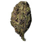 THCA Premium Flower - Eddy White - Hybrid