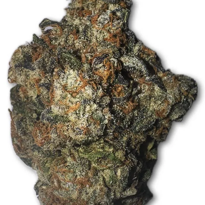 THCA Premium Flower Hindu Kush Indica Zoomed Pic