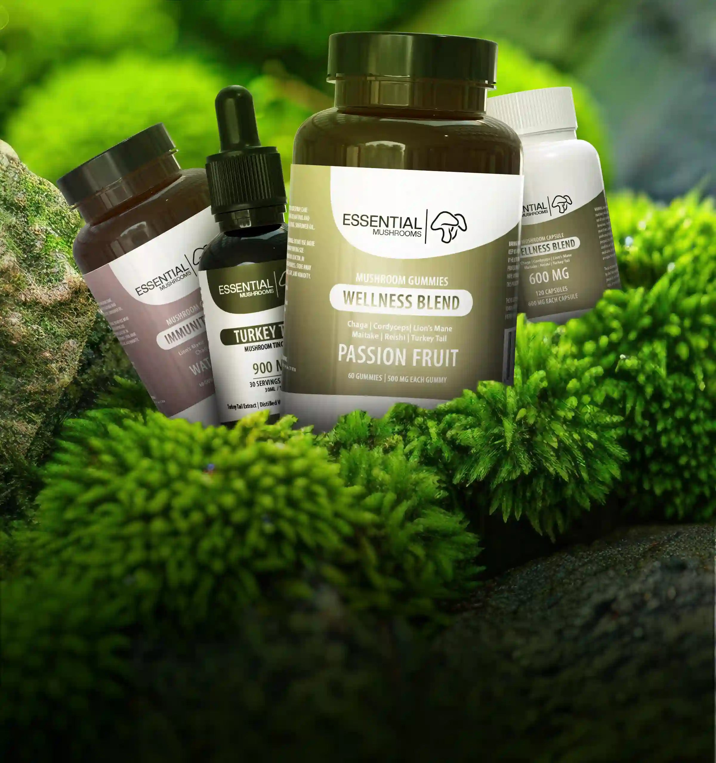 functional mushrooms products