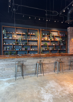 cbd store san marcos texas