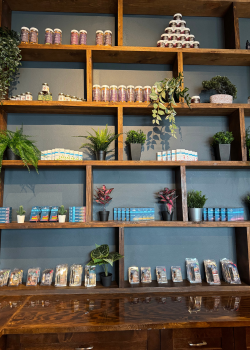 cbd store san marcos texas
