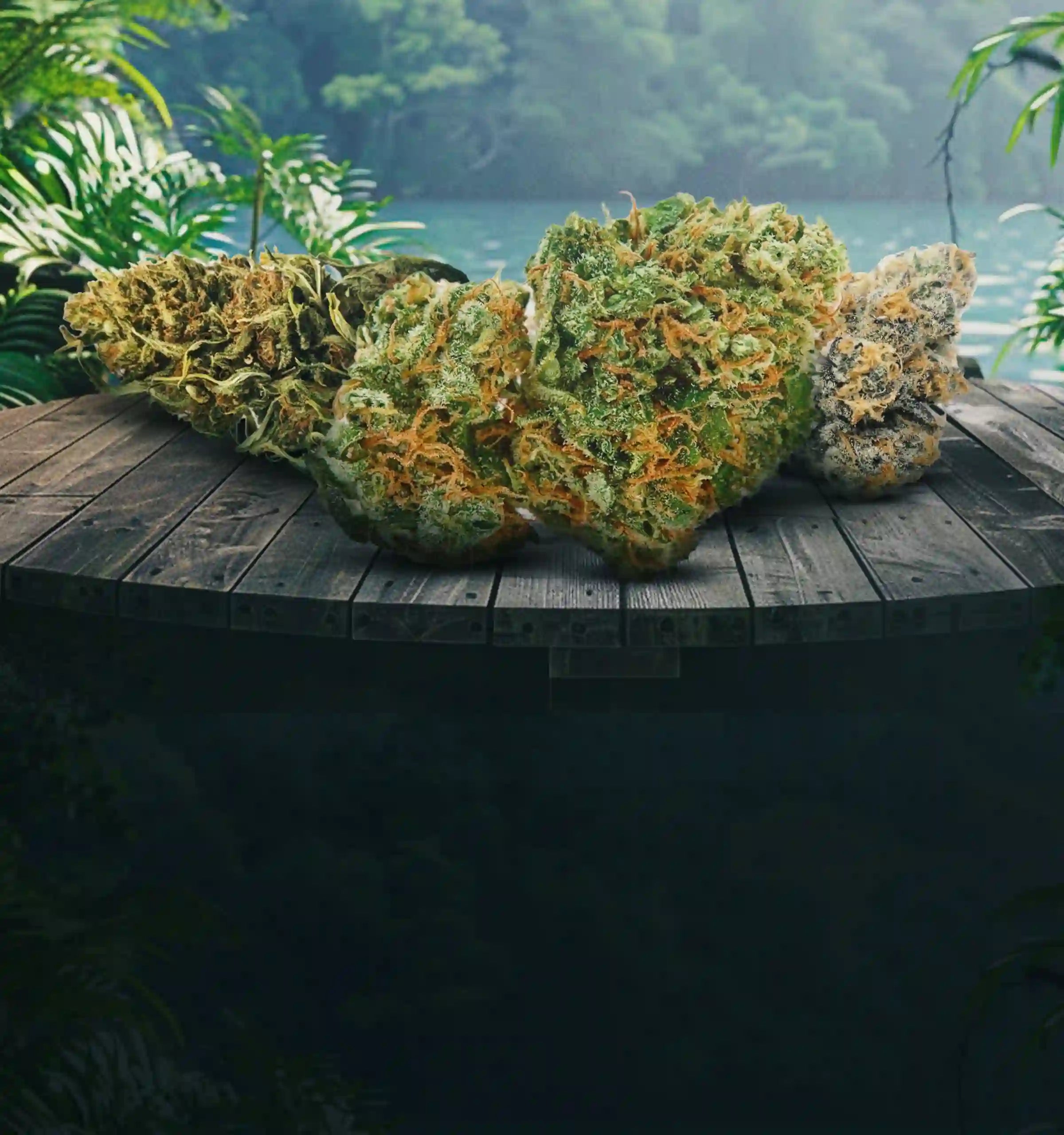 hybrid strains cannabis products mobile banner