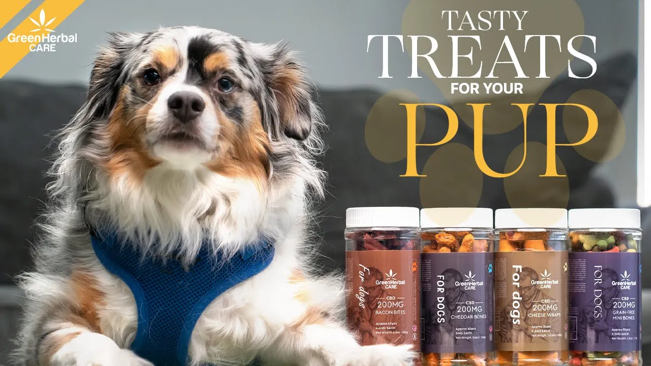 tasty treats for your pup