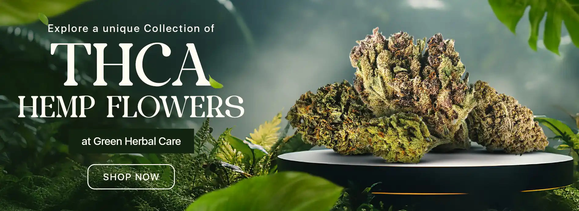 thca hemp flower collections desktop banner