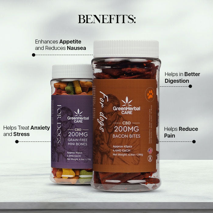 cbd dogs treat benefits