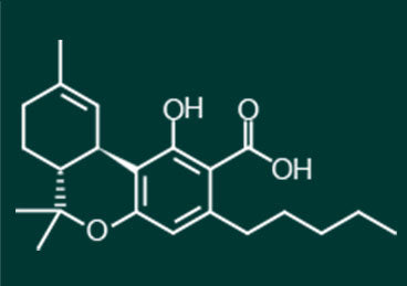 thca